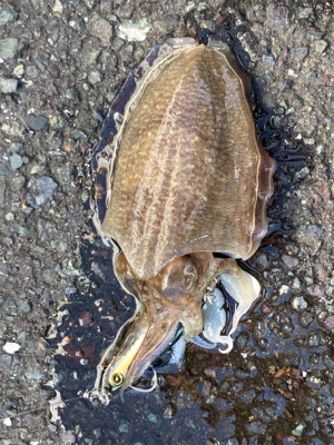 意外な奴が、、、