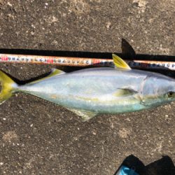 呪縛からの解放