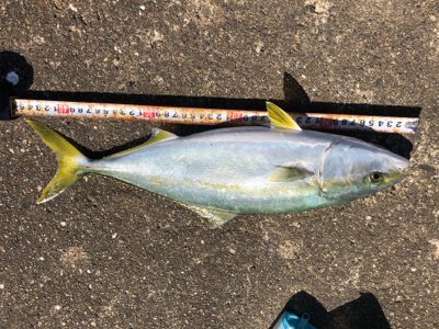 呪縛からの解放