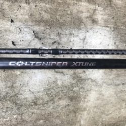 青物ネイゴ42cm!!