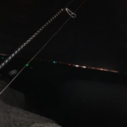 貝塚人工島テトラで太刀魚1匹