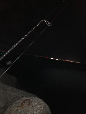 貝塚人工島テトラで太刀魚1匹