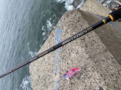 久しぶりのイカ