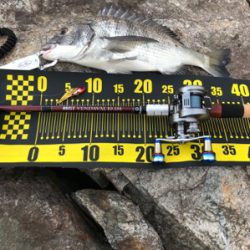 由良川河口にて