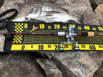 由良川河口にて