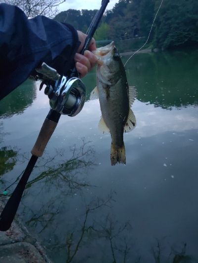 秋はバイブレーション
