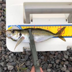 やっと秋突入！