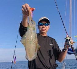 和歌山 ヒラメ ジギング船 釣り船 釣果情報サイト カンパリ