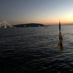 潮止まり前後にキャッチ