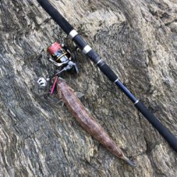 ショアジギング