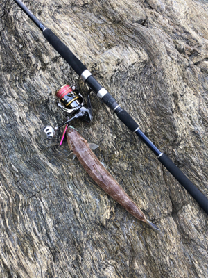 ショアジギング