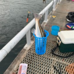 初とっとパーク