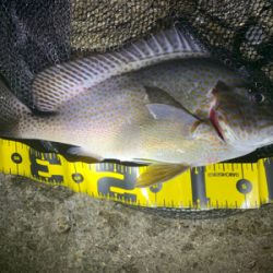 強い引きーーー！！！おい！おい！まじか！？