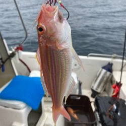 オフショア釣行