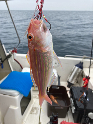 オフショア釣行