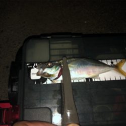 渋かった( ゚д゚)