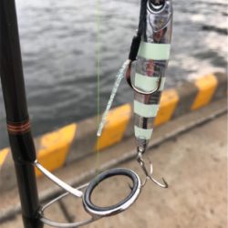 朝マズメ‼️青物連発‼️