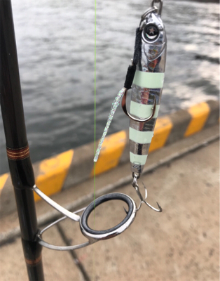 朝マズメ‼️青物連発‼️