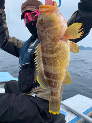 アマダイ50cm自己新記録!友人とマイボートでアマダイ狙い