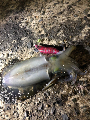 数がでない。。