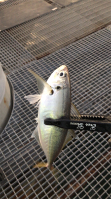 開始から11時間後に!!