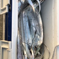 サーベルさんウジャウジャ