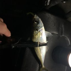 ベイトアジングの道⑦苦戦