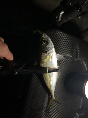 ベイトアジングの道⑦苦戦