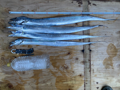 ヤバいやつ釣れました！