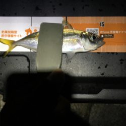 台風一過のアジング