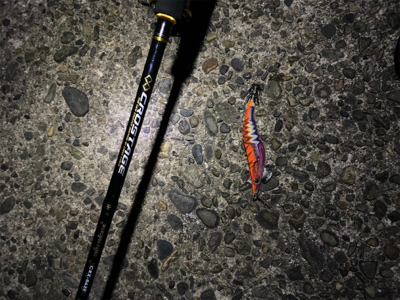 エギングのはずが