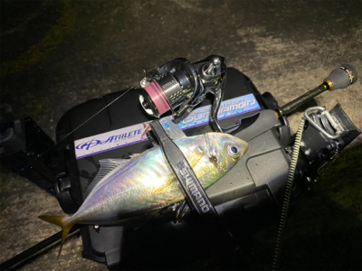 台風後のアジング