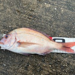 まだまだ釣りたりません