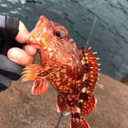 ライトロックゲーム