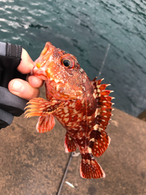 ライトロックゲーム