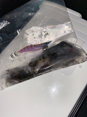 ジブい中での貴重な1匹!