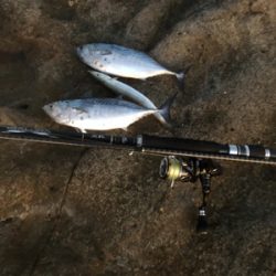 ライトショアジギング