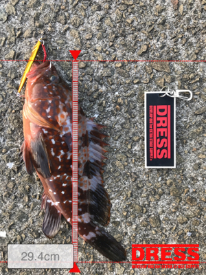 やっと俺のターン