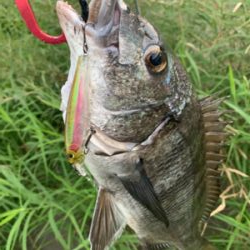 仕事帰りに(°▽°)