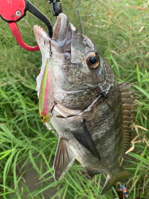 仕事帰りに(°▽°)