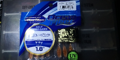 アジング練習 195