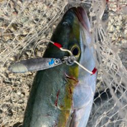 ショアジギング