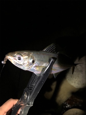 ちょこっとだけ。