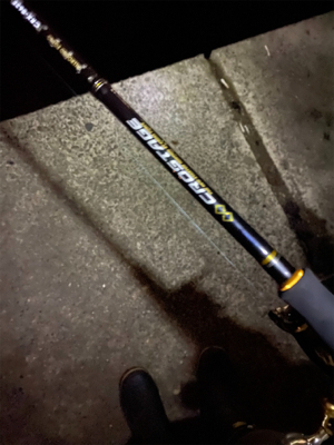 仕事帰りエギング