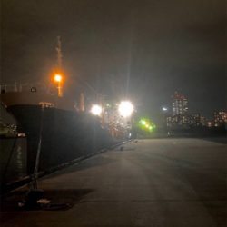 アジングの練習になりました！