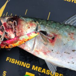 大混雑の武庫川一文字へ