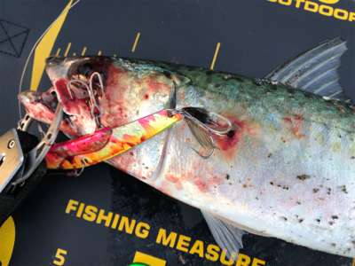 大混雑の武庫川一文字へ