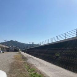 ヤ、シーパークの横の浜で青物