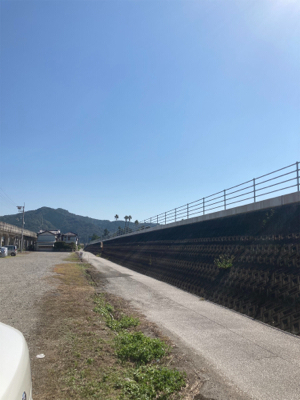ヤ、シーパークの横の浜で青物