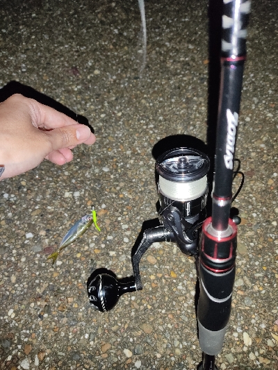 今夜もアジング！